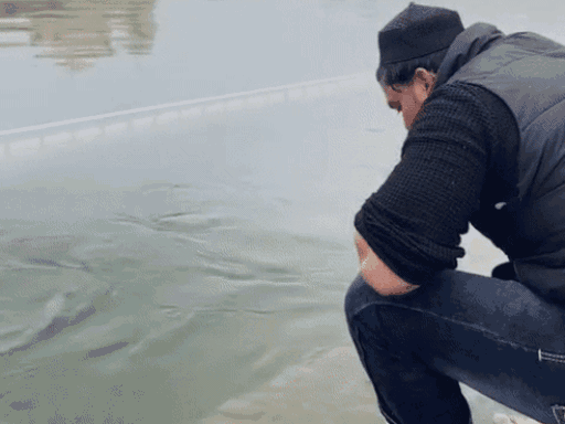 सुब्हान रंगरीज 13 जनवरी को गोल्डन टेंपल आया था, इस दौरान उसने पवित्र सरोवर में कुल्ला करते हुए रील बनाई थी।