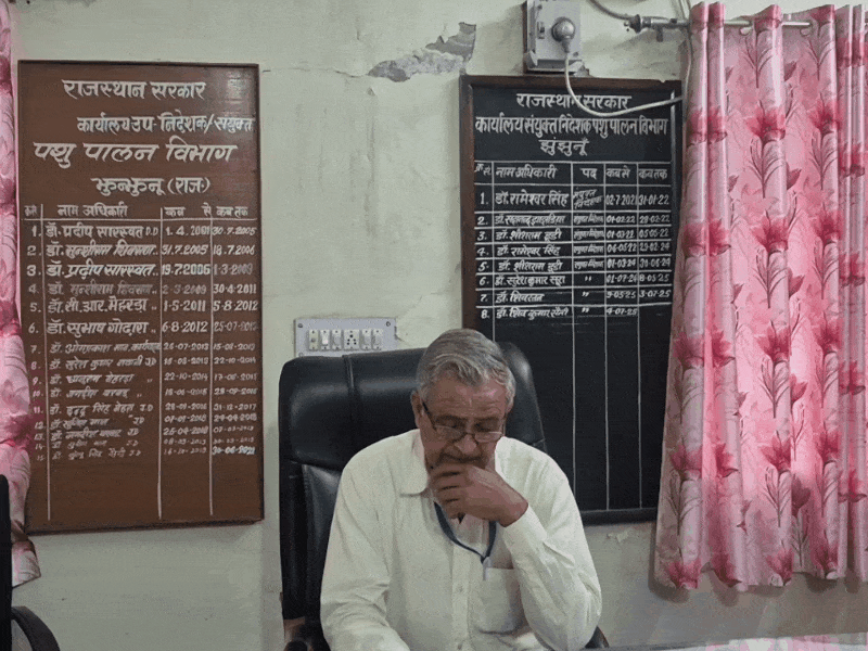 उपनिदेशक पशुपालन विभाग झुंझुनूं।