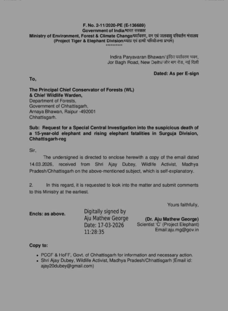 मंत्रालय ने प्रमुख मुख्य वन संरक्षक को पत्र जारी कर जल्द से जल्द जांच रिपोर्ट प्रस्तुत करने के निर्देश दिए हैं।