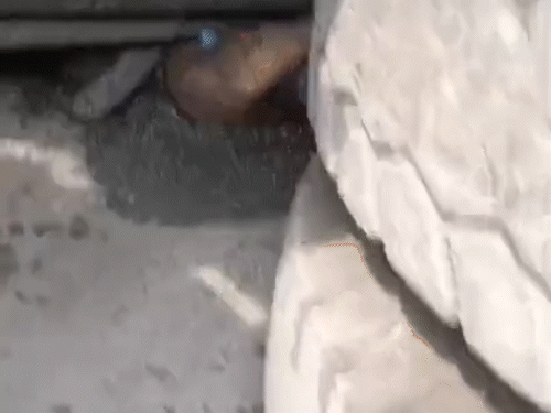 ट्रक के पलटने से बाइक सवार युवक नीचे दब गए, जिससे उनकी मौत हो गई।