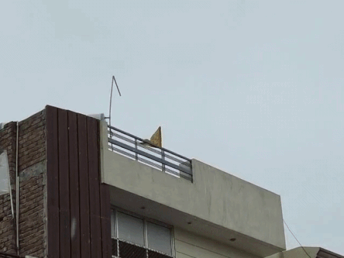 डबवाली में भी तेज हवा चल रही है। यहां कुछ देर के लिए बूंदाबांदी भी हुई है।