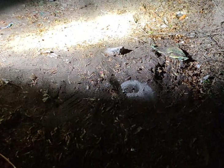 फायरिंग के बाद मौके पर पड़े खोल।