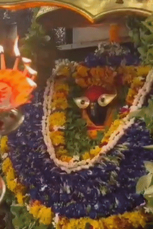 भोर में मां विंध्यवासिनी की मंगला आरती के बाद दर्शन के लिए कपाट खोले गए।