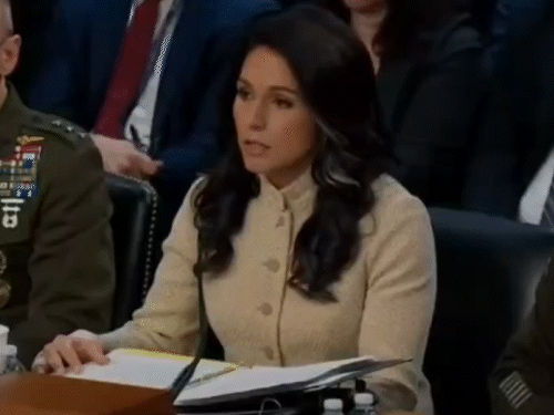 सीनेट इंटेलिजेंस कमेटी की वैश्विक खतरे से संबंधित सुनवाई में तुलसी गबार्ड ने जवाब दिया। - Dainik Bhaskar