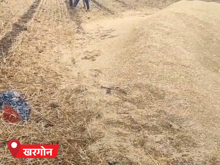 खरगोन में गेहूं की कटाई करने गई महिला की आकाशीय बिजली गिरने से मौत हो गई।