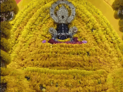 खाटूश्यामजी में हर साल लाखों लोग दर्शन करने के लिए आते हैं।