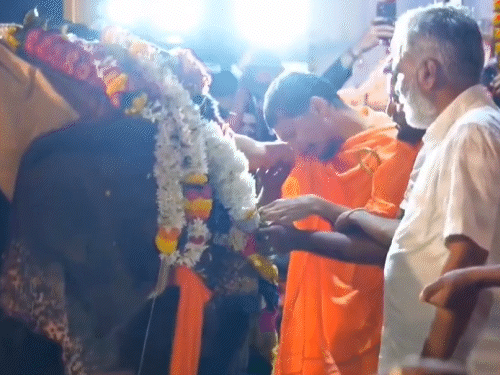 नांदणी जैन मठ में पूजा कर माधुरी को विदाई दी गई थी।