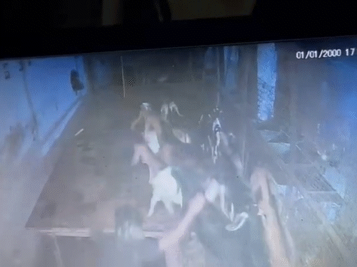 एक-एक कर आरोपी ने 37 बकरी-बकरी पार कर दिए।