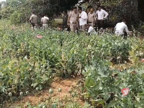 मौके पर पुलिस अधिकारी पहुंचे हैं।