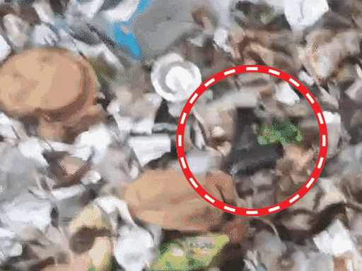 तस्वीर वारदात में इस्तेमाल पिस्टल की है। हमलावर हत्या के बाद इसे कूड़े के ढेर में फेंककर फरार हो गया था।