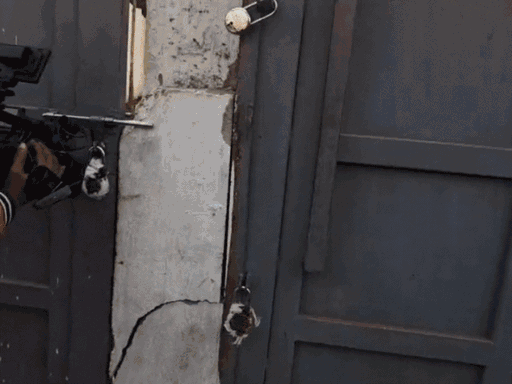 स्लाटर हाउस में जड़ा ताला।