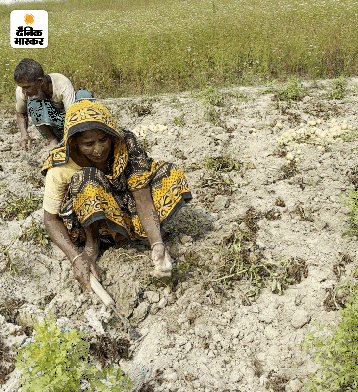 ज्यादातर मियां मुस्लिम खेती-बाड़ी का काम करते हैं। असम के बाजारों और घरों में पहुंचने वाली सब्जियां मियां मुस्लिम ही उगाते हैं।