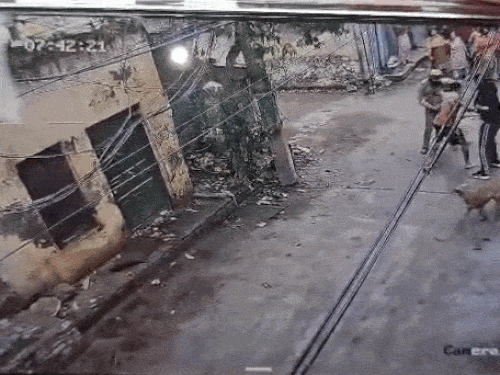 महिला के बेटे की पीठ पर मुक्के जड़ता पुलिस कर्मी।