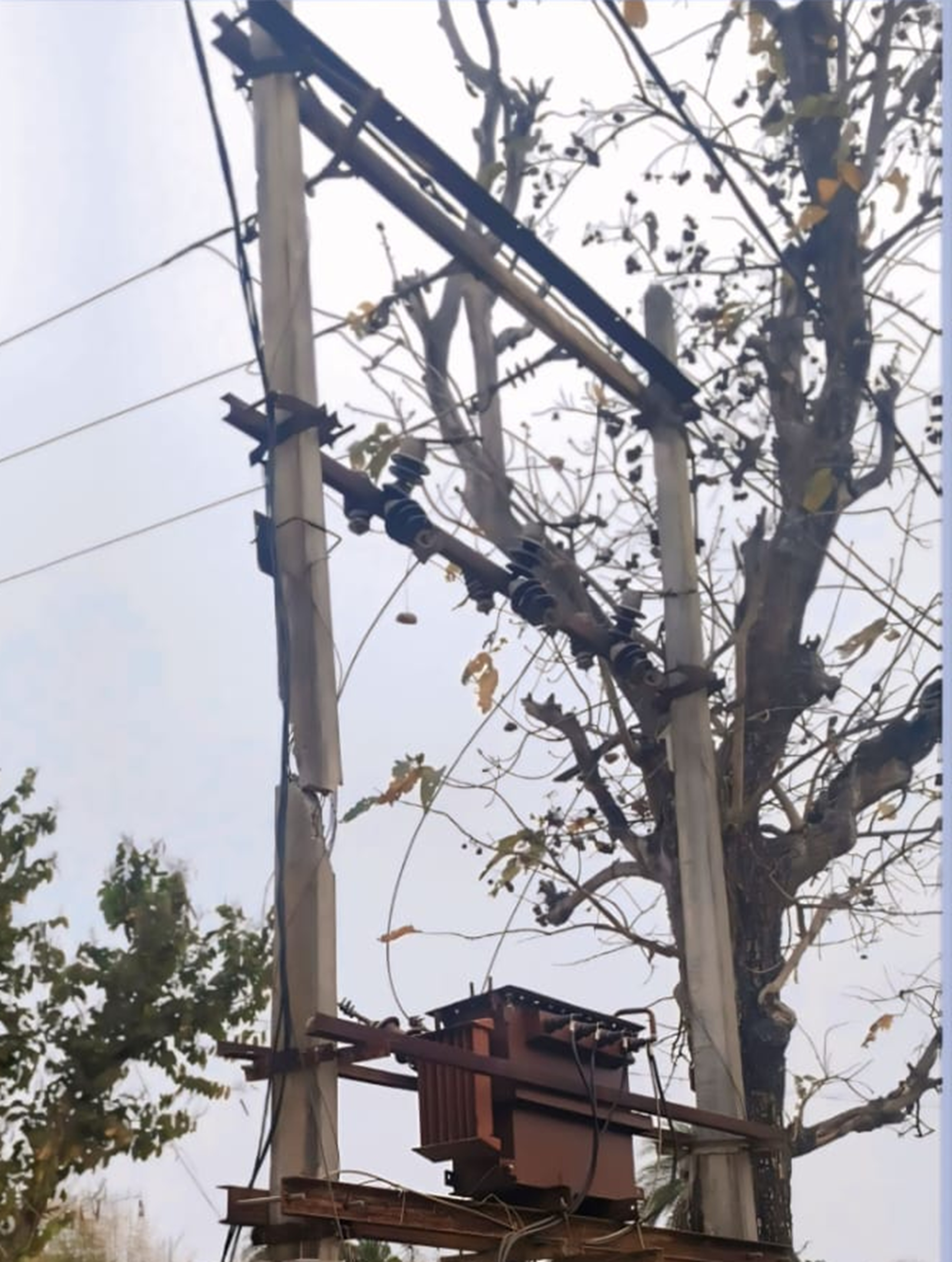 Dilapidated electric pole poses a danger, department's negligence could ...
