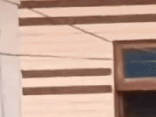 नूंह में आपसी विवाद में लोगों ने छतों से पथराव कर दिया। - Dainik Bhaskar