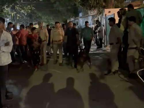 डॉग स्क्वायड की टीम ने मकान की दोनों मंजिलों की बारीकी से जांच की है।