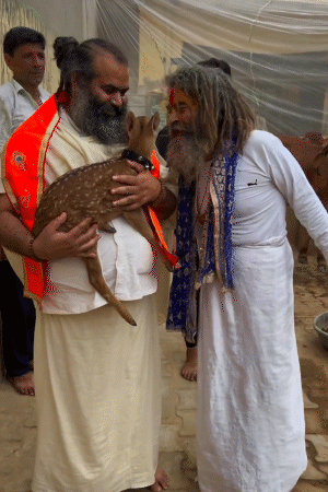 फरसा बाबा जानवरों के लिए स्नेह रखते थे। ऐसे कई वीडियो उनके पेज पर पोस्ट हैं।