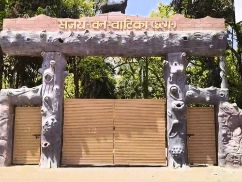 संजय पार्क में आवारा कुत्तों के हमले से 15 हिरणों की मौत हो गई।