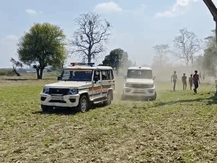 सूचना पर वन दरोगा राधेश्याम, वन रक्षक संतोष कुमार और वाचर सुनील गौड़ मौके पर पहुंचे और घटनास्थल का निरीक्षण किया।