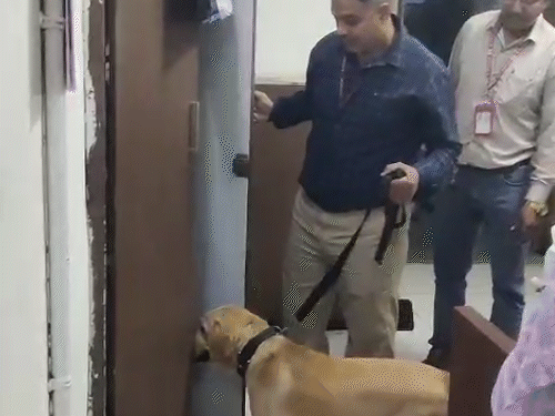 कार्यालय में सर्च करता हुआ डॉग स्क्वार्ड।