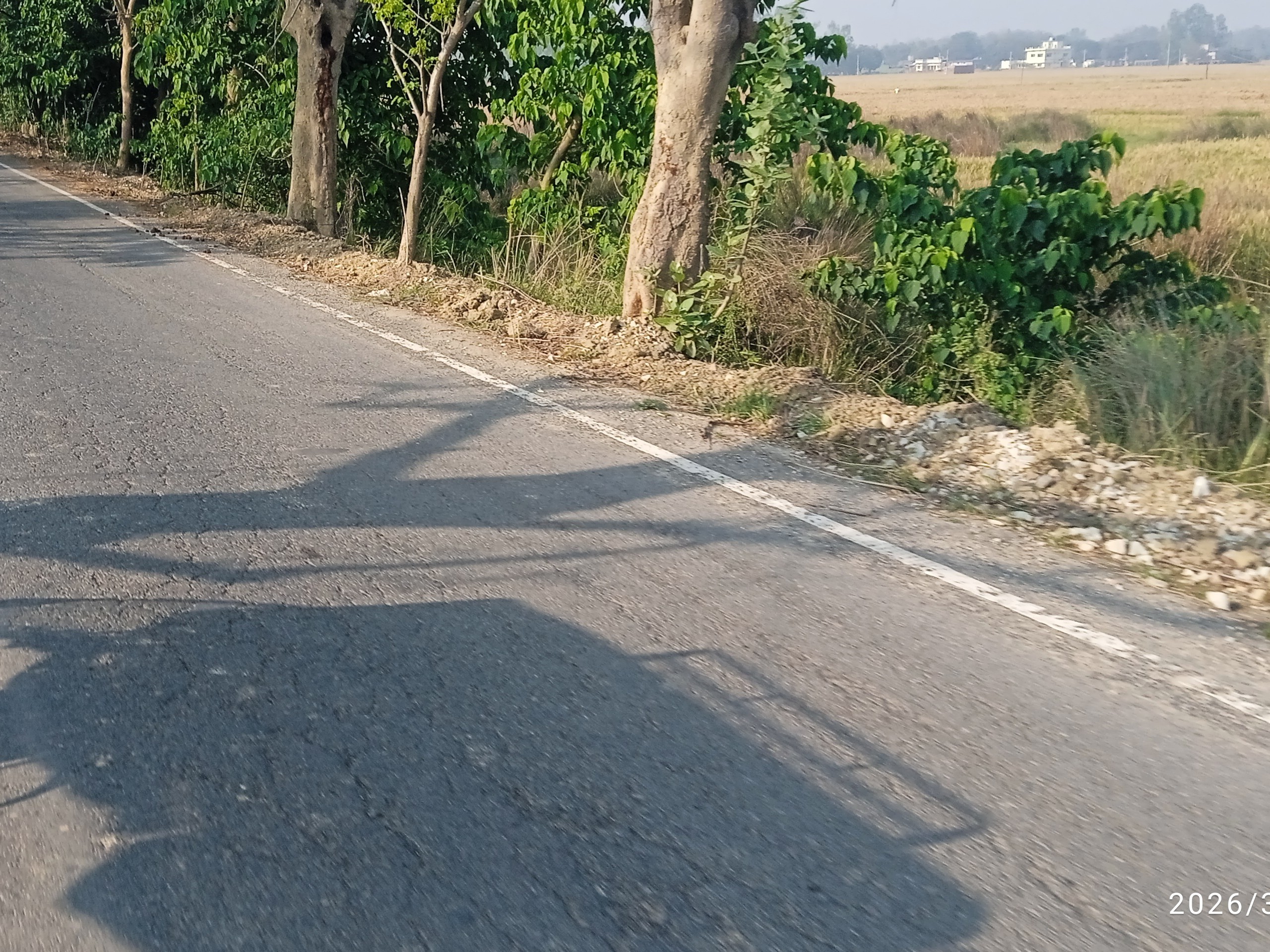 Deoria Road Gravel Accident Risk | Bhatpar Rani Route Danger