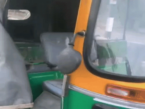 गुरुग्राम में एनएच-48 के झाड़सा फ्लाईओवर के पास खड़ा क्षतिग्रस्त ऑटो।