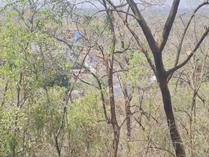 जंगल की लकड़ी घर ले जाने से होती है अनहोनी