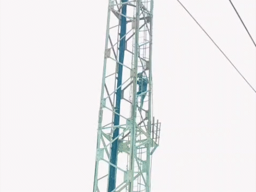 पुलिस ने युवक को टावर से उतरने के बाद गिरफ्तार कर लिया है।