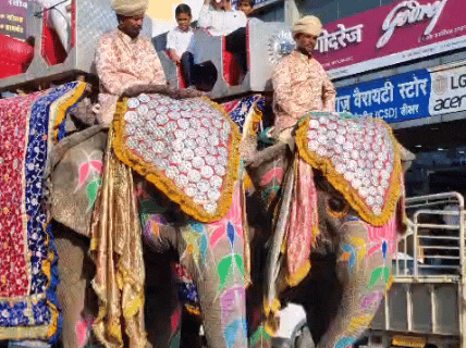 शोभायात्रा में हाथी-ऊंट भी शामिल हुए।