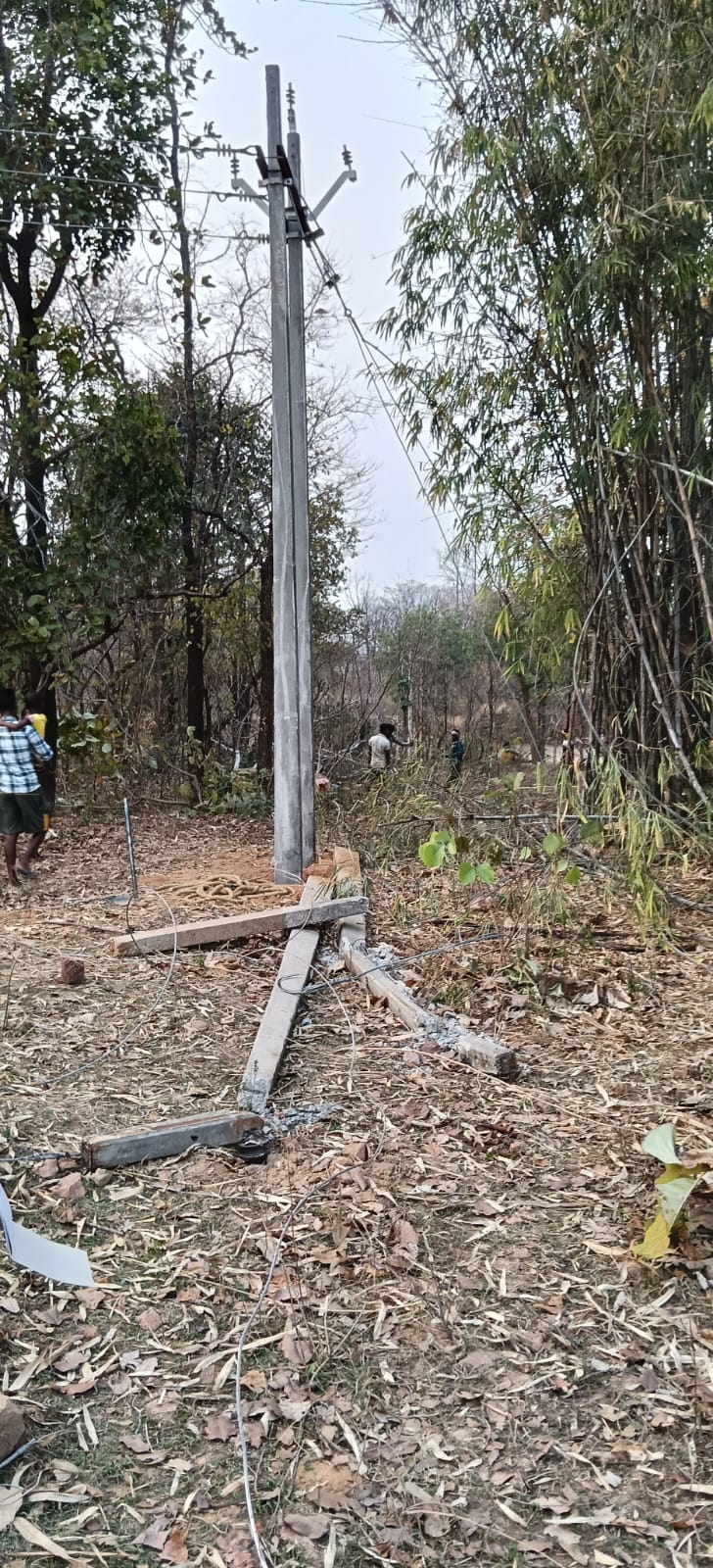 The JCB broke the power line, causing the pole to fall.