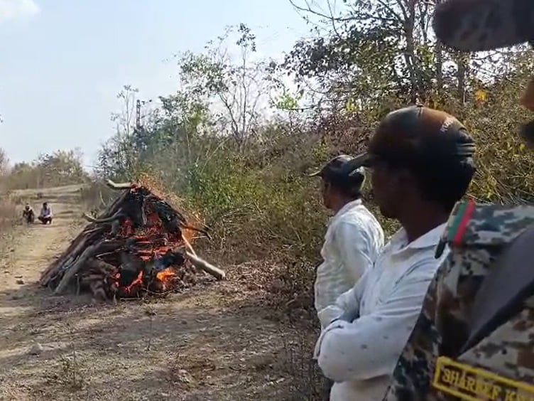 बालाघाट में ट्रेन की चपेट में आया सांभर, मौत:  कवरेज पर पहुंचे पत्रकारों से वनरक्षक ने अभद्रता, तत्काल निलंबन और निष्पक्ष जांच की मांग – Balaghat (Madhya Pradesh) News