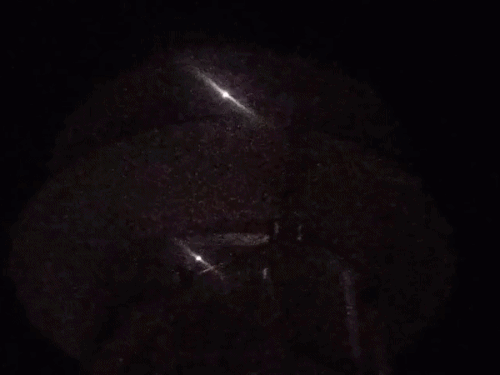 युवक से अपनी बेटी को वापस दिलाने की मांग को लेकर महिला पानी की टंकी पर चढ़ गई।