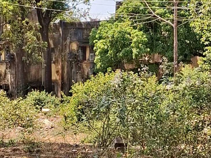 जीसीएफ के खंडहर अपराधियों का बन गया है अड्डा।