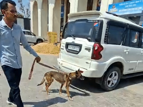 डॉग स्क्वॉयड टीम ने सभी ऑफिसों में सर्च शुरू किया।