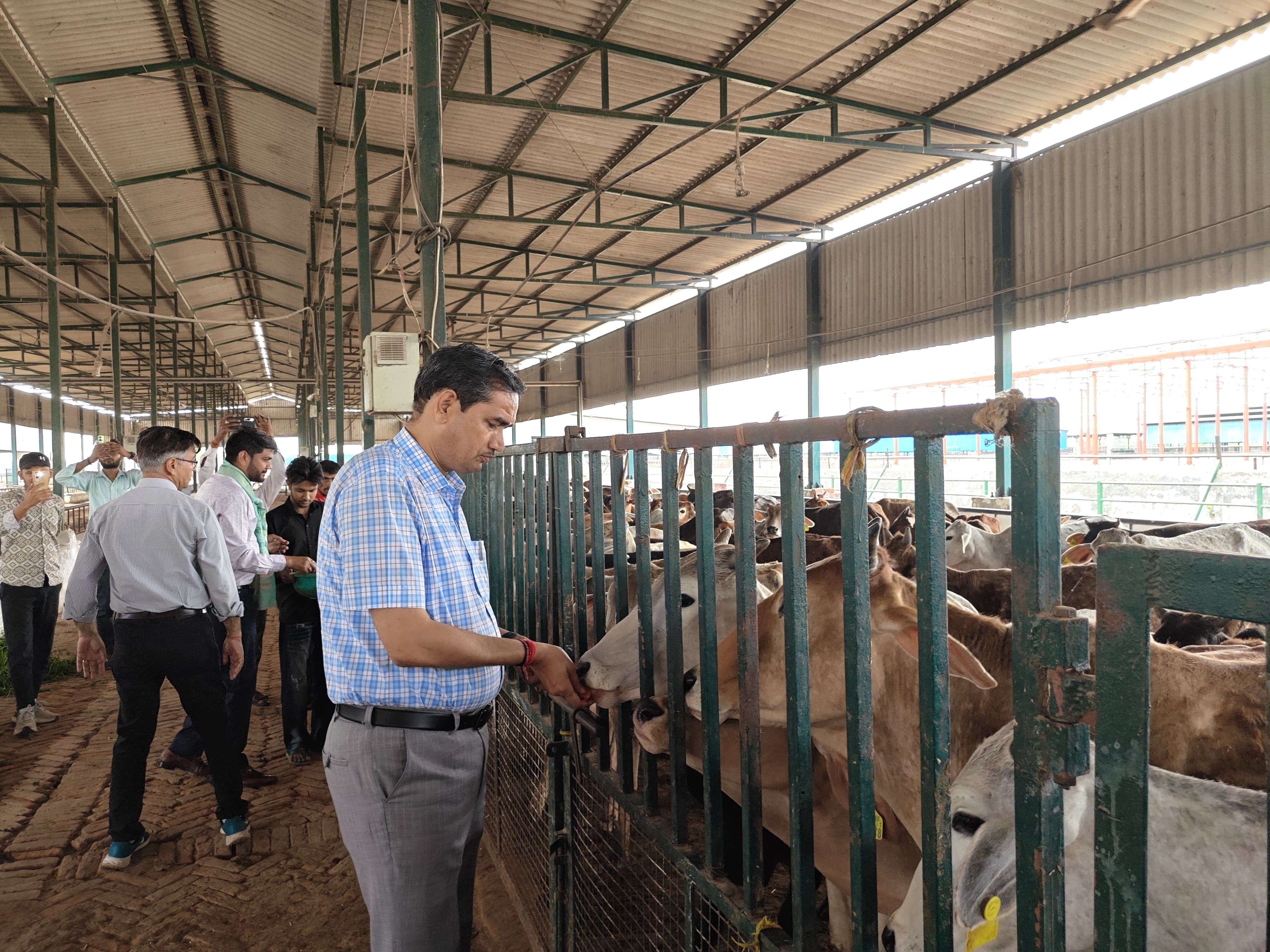 Mathura DM Inspects Devaraha Baba Gaushala; Ramnavami Gau Pujan