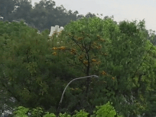 जालांधर में हुई बारिश।