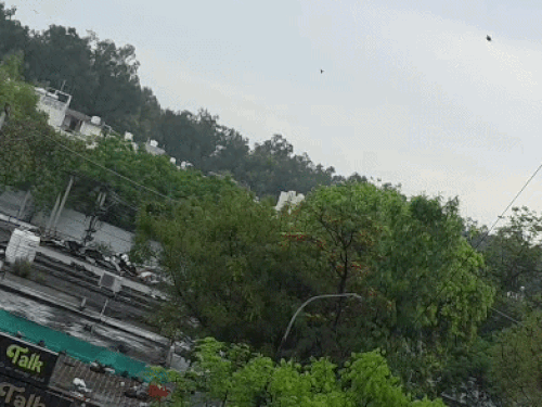 जालंधर में सुबह के टाइम हुई बारिश।