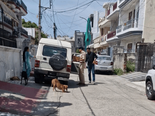 करनाल की चौधरी कॉलोनी में महिला अधिकारी को ढूंढने के लिए छापेमारी करती चंडीगढ़ पुलिस। - Dainik Bhaskar