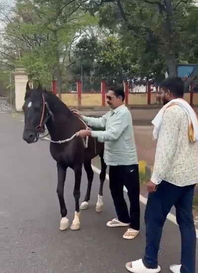 पटना वाले आवास के बाहर घोड़े के साथ अनंत सिंह।