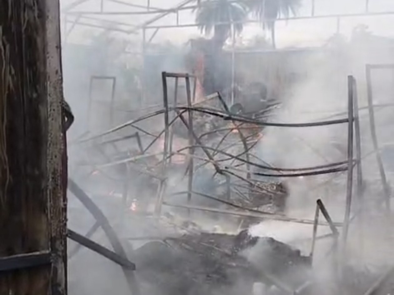 पिंजौर की ऑनलाइन नर्सरी में आग लगने से उठ रहा धुआं। - Dainik Bhaskar