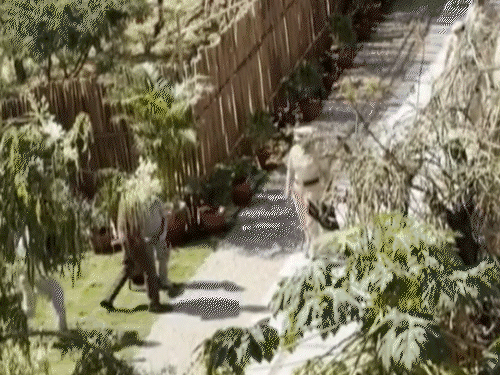 In the video that surfaced in Chaumu, Sonakshi Sinha is shown talking to her senior officer. This scene was filmed recently.