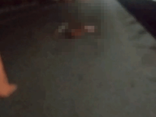 ट्रक द्वारा कुचल दिए जाने के बाद सड़क पर पड़ा युवक। - Dainik Bhaskar