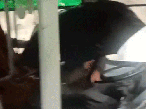 चंबा में सरकारी बस का ड्राइवर छाता लेकर गाड़ी चलाते हुए। - Dainik Bhaskar