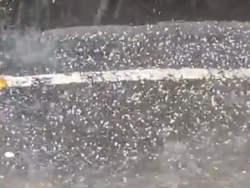 हिमाचल प्रदेश के शिमला में बारिश और ओलावृष्टि हुई।