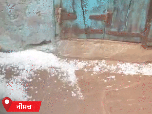 नीमच में तेज बारिश के साथ ओले गिरे हैं।