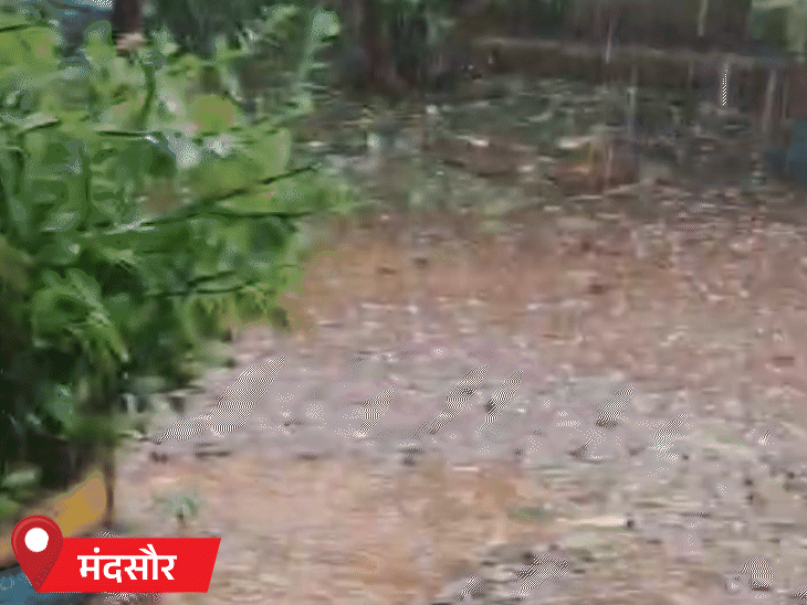 मंदसौर में भी आंधी-तूफान के साथ तेज बारिश हुई।