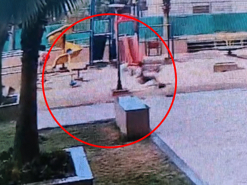 झूलते समय झूला अचानक टूटकर बच्ची के ऊपर गिरा।