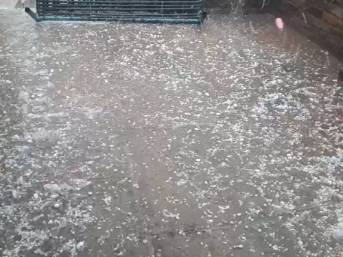 राजस्थान के बूंदी में भी ओले गिरे।