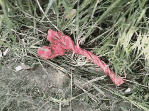 यह तस्वीर 4 अक्टूबर 2024 की है। जब रेप और हत्या के बाद पुलिस जांच करने गांव में पहुंची थी।