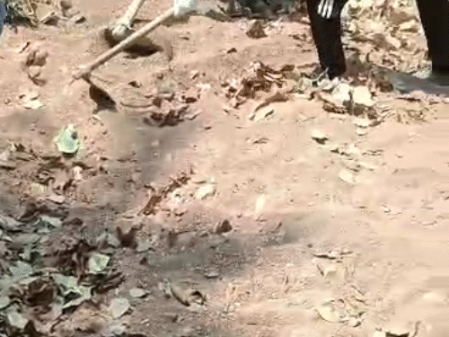 मारने के बाद घटनास्थल से 60km दूर ले जाकर रेत में लाश दफनाई गई।